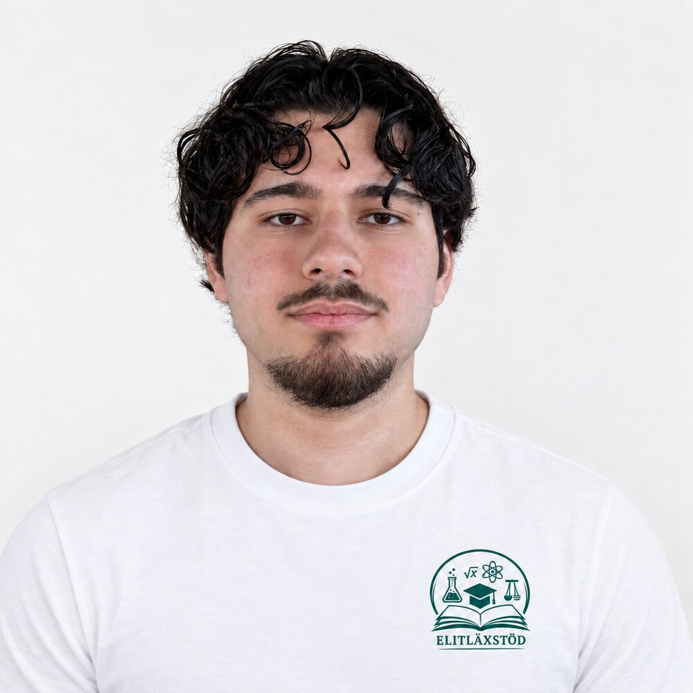 Profilbild på Mattias Aldalf