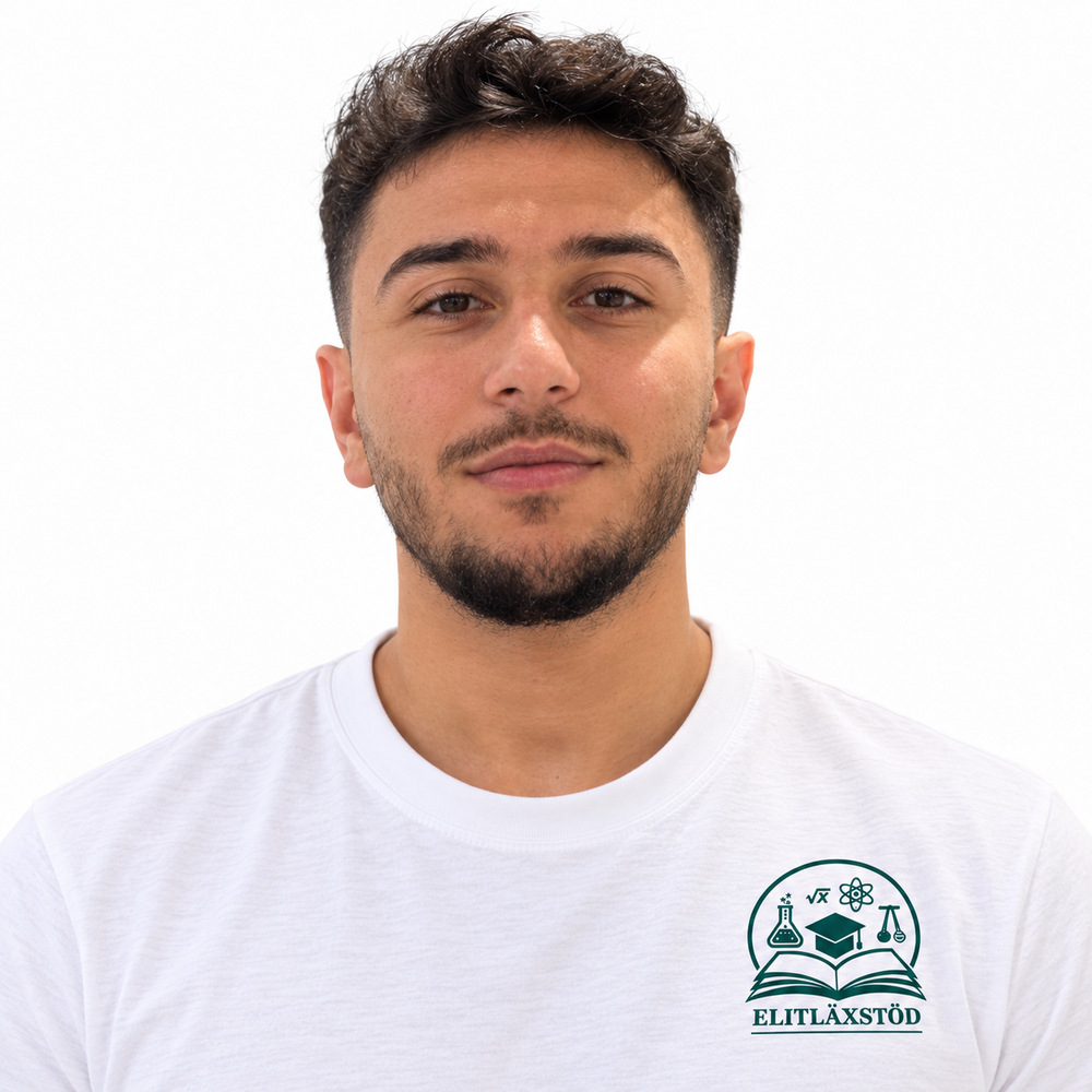 Profilbild på Nabil Alsammour